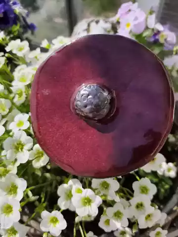 kwiat ceramiczny