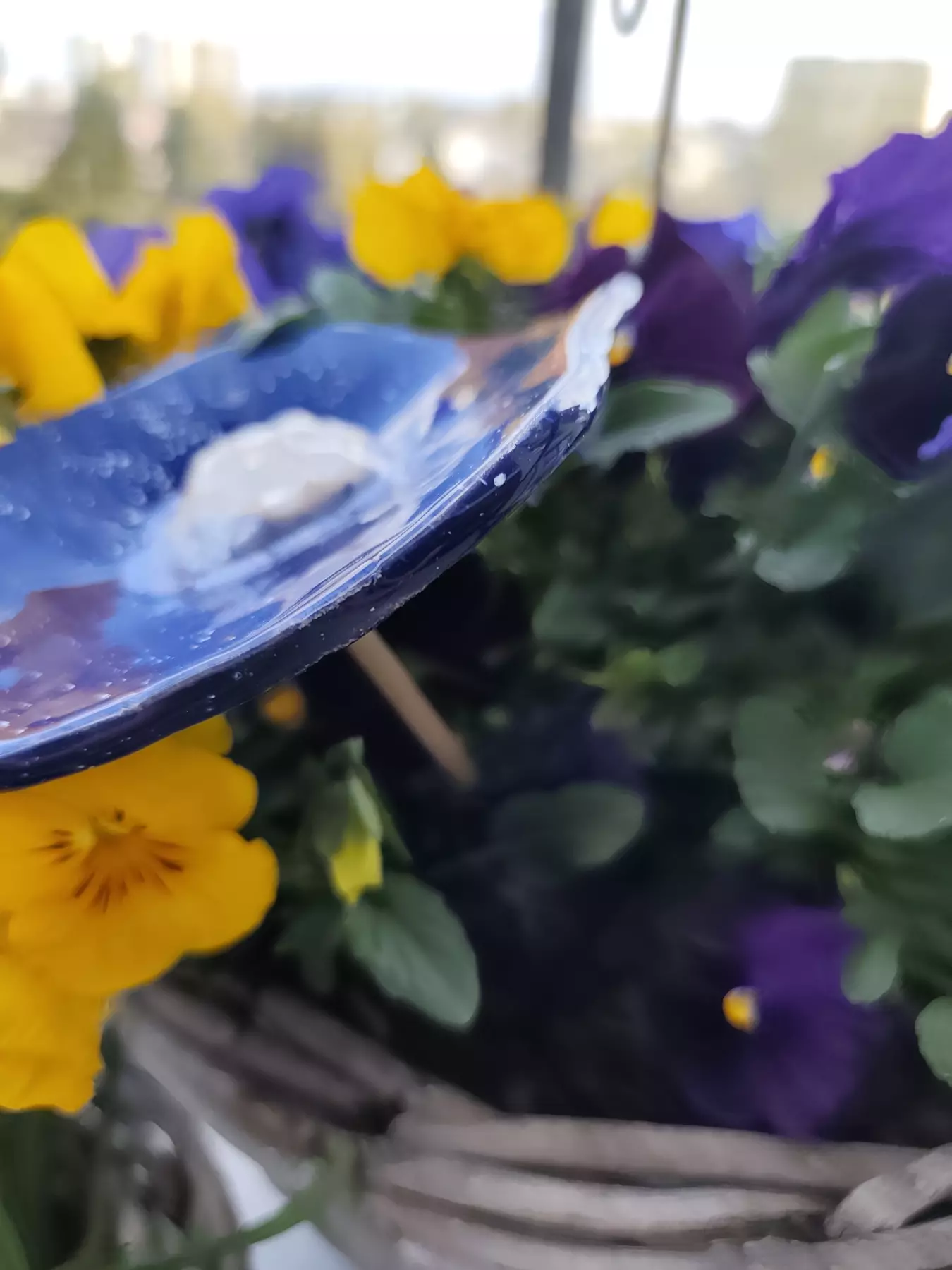 kwiat ceramiczny
